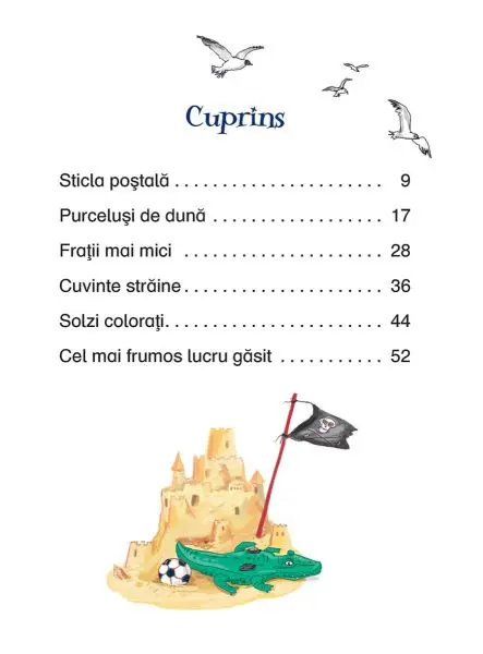 Soare, plaja si foarte multa mare – Carte pentru copii