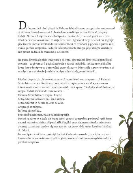Spiritul din inima padurii – Carte pentru copii