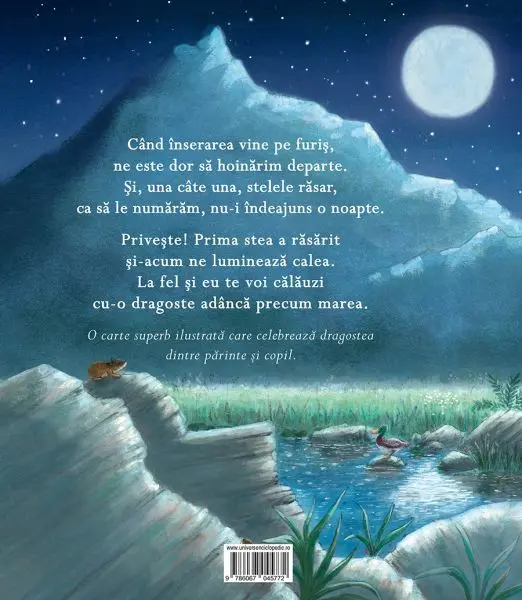 Sub cerul plin de stele – Carte pentru copii