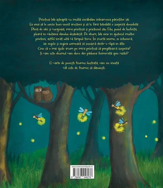 Surpriza Printesei Ida – Carte pentru copii