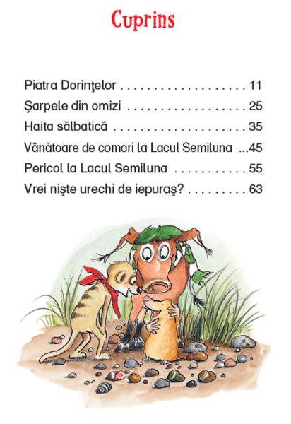 Tafiti si Piatra Dorintelor – Carte pentru copii
