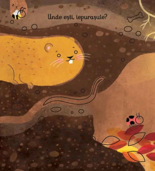 Unde esti, iepurasule? (Usborne) – Carte pentru copii