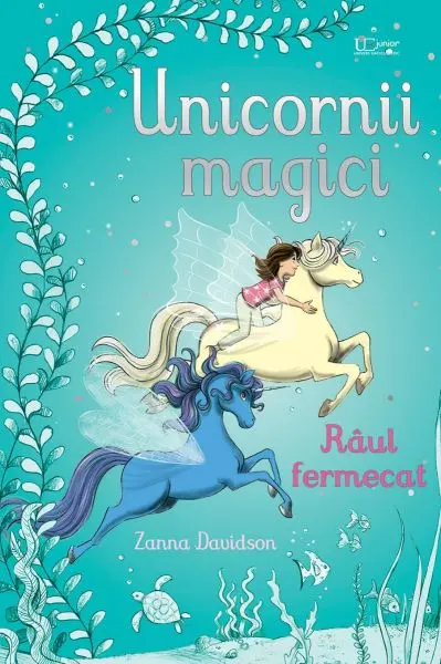 Unicornii magici. Raul fermecat (Usborne)