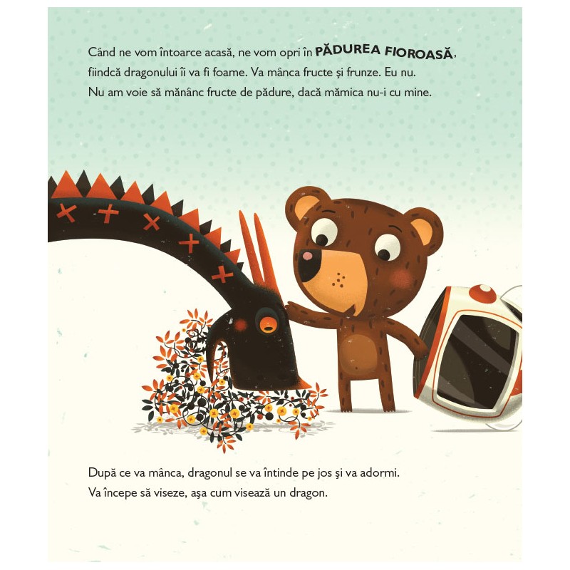 Vânătorul de dragoni – Carte pentru copii