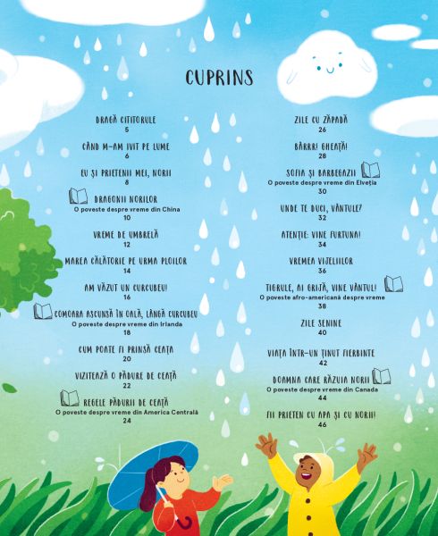 Viata secreta a norilor – Carte pentru copii