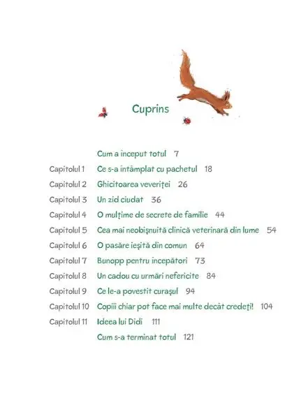 Vila Fauna: Didi si limbajul secret al animalelor – Carte pentru copii