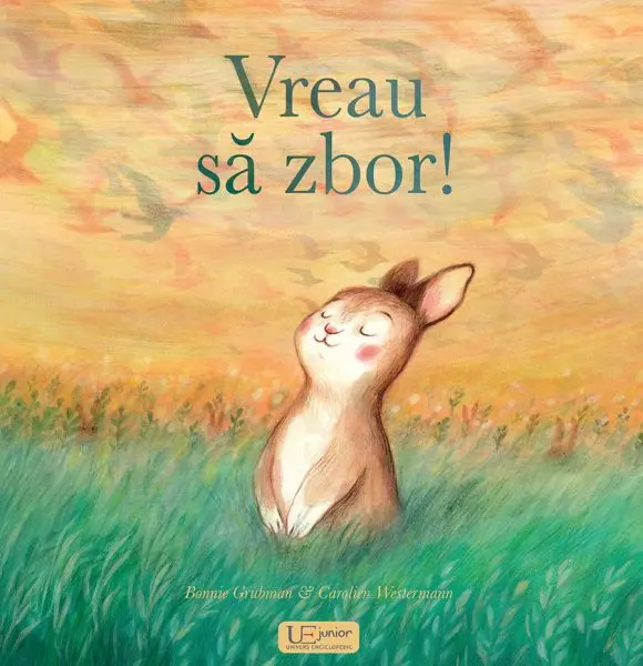 Vreau sa zbor