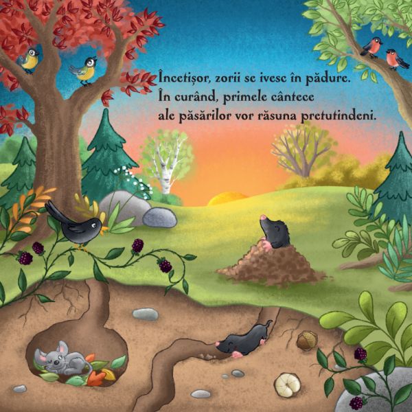 Ziua in padure – Carte pentru copii