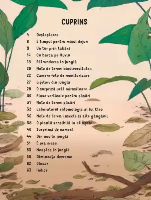 24 de ore in jungla (Usborne)