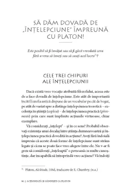 Acţionează şi gândeşte ca PLATON. Înţelept, gânditor, filozof, drept, curajos — Nathanaël Masselot