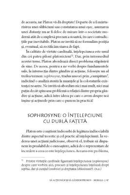 Acţionează şi gândeşte ca PLATON. Înţelept, gânditor, filozof, drept, curajos — Nathanaël Masselot