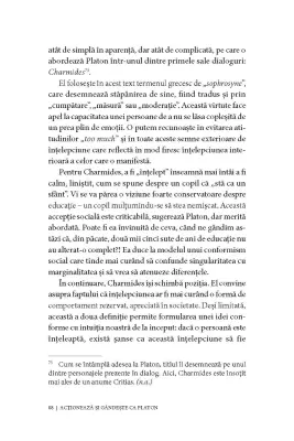 Acţionează şi gândeşte ca PLATON. Înţelept, gânditor, filozof, drept, curajos — Nathanaël Masselot