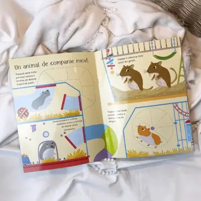 Activitati cu animale de companie (Usborne) — Usborne Books