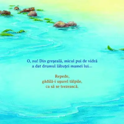 Ajuta-ma sa ajung acasa! — Sophie Schoenwald, Nadine Reitz