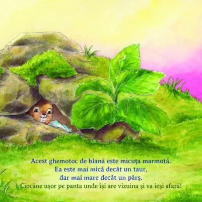 Ajuta-ma sa merg la culcare! — Sophie Schoenwald, Nadine Reitz