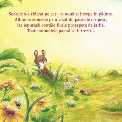 Ajuta-ma sa zambesc — Sophie Schoenwald, Nadine Reitz