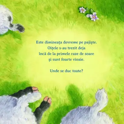 Ajuta-ma, te rog! — Sophie Schoenwald, Nadine Reitz