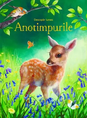 Anotimpurile (Usborne)