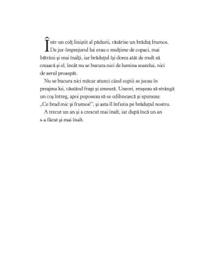 Bradul — Hans Christian Andersen, Bernadette