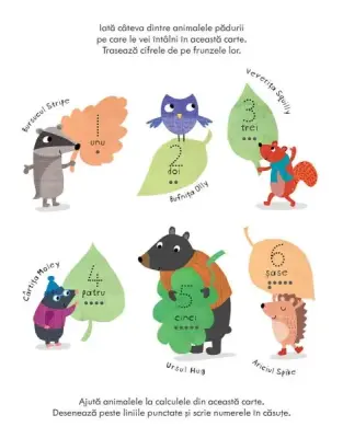 Caiete de activitati. Adunarea 5-6 ani (Usborne)