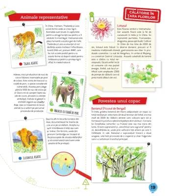 Călătorie ECO în jurul lumii — Text: Dominique Cronier; Ilustrații Marine Tellier, Maguelone du Fou, Anatole Donarier