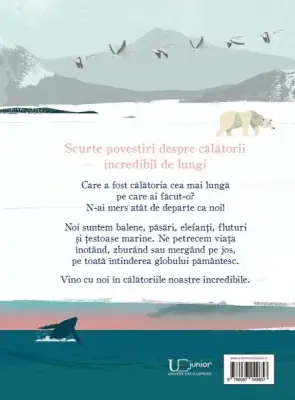 Calatorim atat de departe... (Quatro) — Chris Madden, Laura Knowles