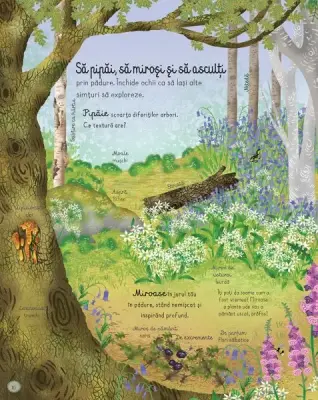 Cartea padurii (Usborne)