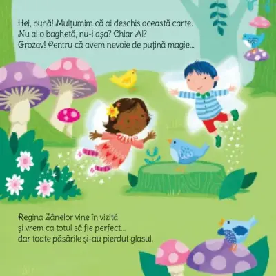 Carti magice. Taramul fermecat al zanelor (Usborne)