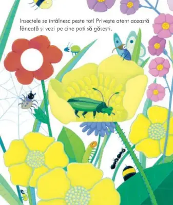Casutele insectelor (Usborne) — Usborne Books