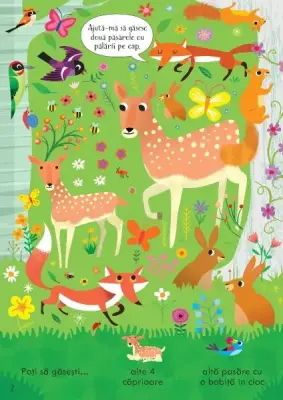 Cauta si gaseste. In padure (Usborne) — Usborne Books