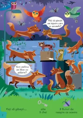 Cauta si gaseste. In timpul noptii(Usborne) — Usborne Books