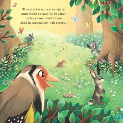 Ce lume minunata — Hannah Campling, Kathryn Inkson