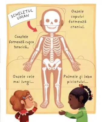 Ce se afla inauntrul meu? (Usborne)