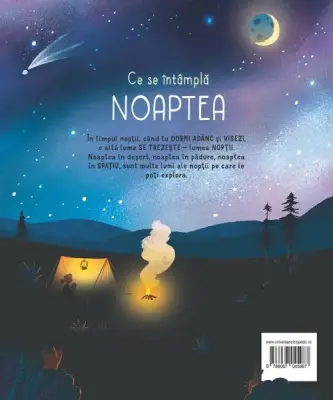 Ce se intampla noaptea? (Usborne) – Carte pentru copii