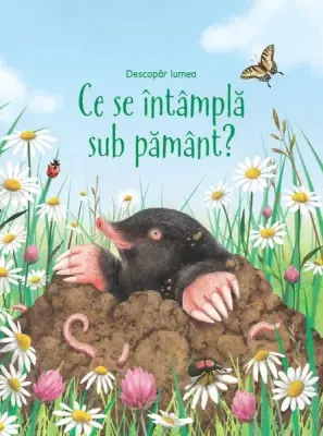 Ce se intampla sub pamant? (Usborne) – Carte pentru copii