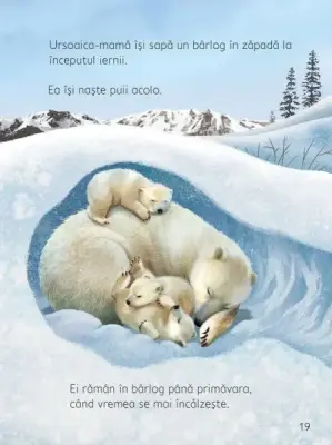Ce se intampla sub pamant? (Usborne)