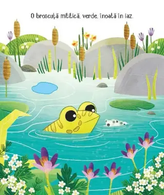 Cicluri de viata. Broscuta (Usborne)