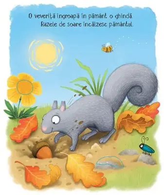 Cicluri de viata. Copacelul (Usborne) — Usborne Books