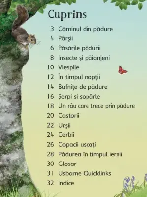 Cine traieste in padure? (Usborne) — Usborne Books