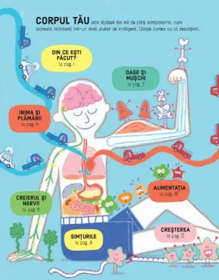 Cum functioneaza corpul tau (Usborne) — Usborne Books