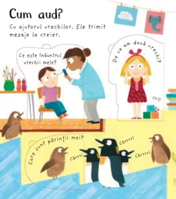 Cum vad eu? Si cum functioneaza celelalte simturi ale mele? (Usborne) — Usborne Books