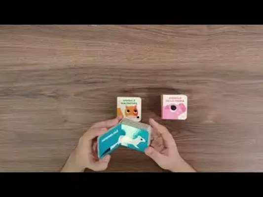 Cutie. Animalele lumii – Carte pentru copii