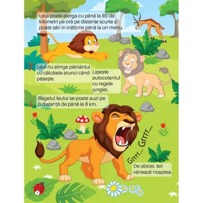 Descoperă jungla
