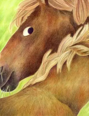 Dorinta Riei : Povestea unei prieteni — Madlen Ottenschläger, Malin Hörl