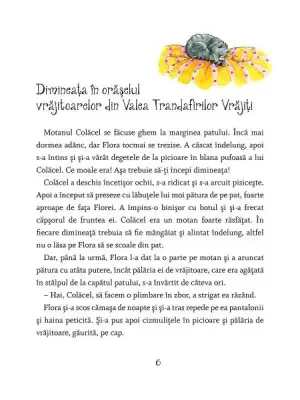 Flora Iute-ca-Sageata. Taina din Padurea vrajita. — Eleni Livanios