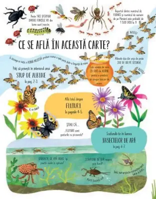 Fluturi si alte insecte (Usborne) — Usborne Books