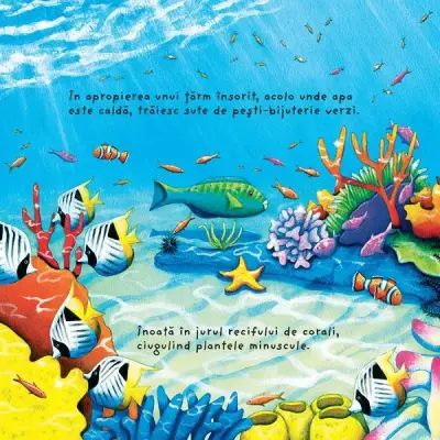 In adancul marii (Usborne) — Usborne Books