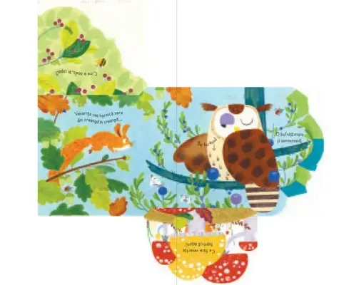 In padure - clapete (Usborne) — Usborne Books
