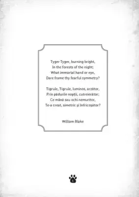 Inima-de-tigru. Printul junglei — Robin Dix