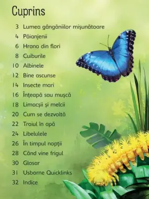 Insectele (Usborne) — Usborne Books